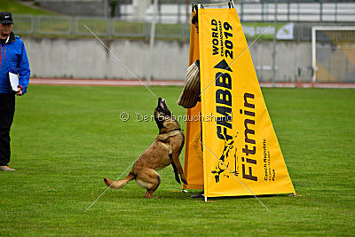 Neli Running Wild