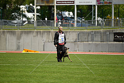 Neli Running Wild
