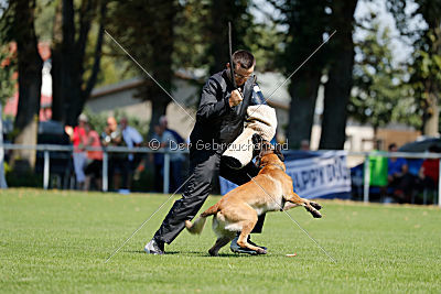 Nexor vom Brunsbeker Land