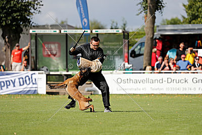 Nike vom Drachenherz