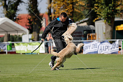 Norbert du Grand-Bijou