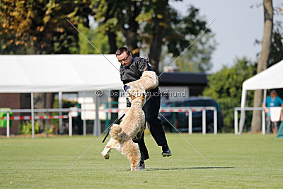 Norbert du Grand-Bijou