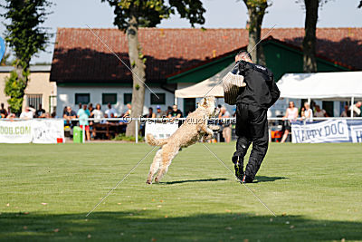 Norbert du Grand-Bijou