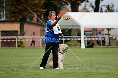 Norbert du Grand-Bijou