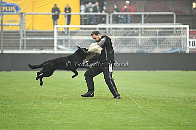 Norbert vom Eichbergblick