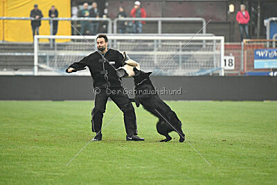 Norbert vom Eichbergblick