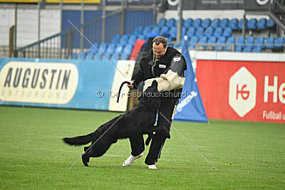 Norbert vom Eichbergblick