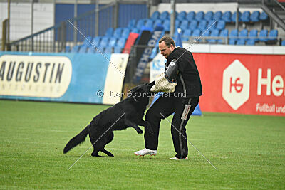 Norbert vom Eichbergblick