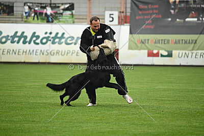Norbert vom Eichbergblick