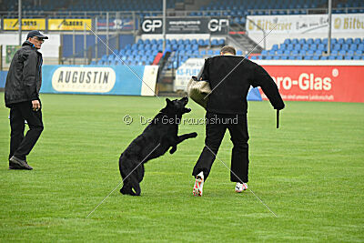 Norbert vom Eichbergblick