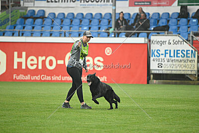 Norbert vom Eichbergblick