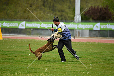 Oakley von Nacheron