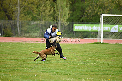Oakley von Nacheron