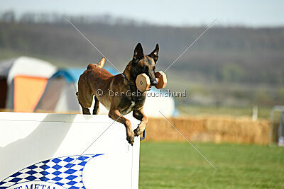 Oesko Hulk Machine 2.0