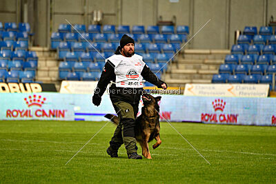 Oetzi aus der Königshöhle