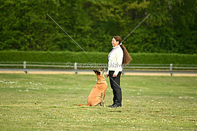 Ojemine vom Mecklenburger Büffel