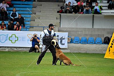 Omer de Hellehond