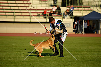 Omer de Hellehond