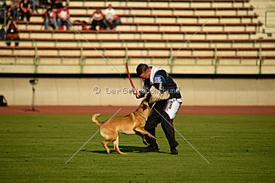 Omer de Hellehond