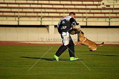 Omer de Hellehond