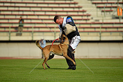 Omer de Hellehond