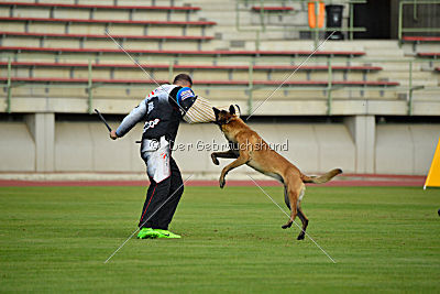 Omer de Hellehond