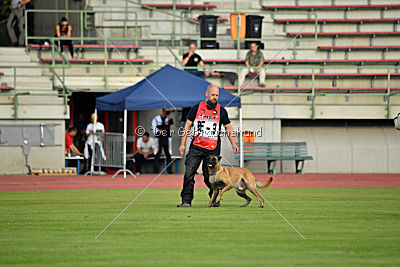 Omer de Hellehond