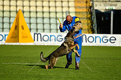 Original Maly Lumpik