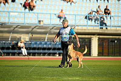 Othar des pas des betes