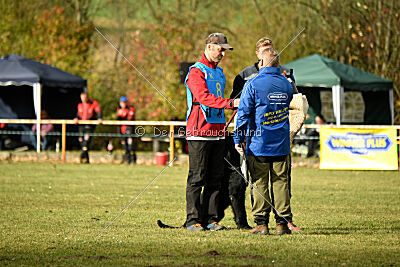 Othello vom Lindelbrunn