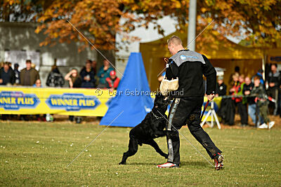 Othello vom Lindelbrunn