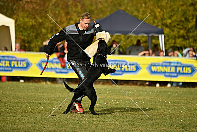 Othello vom Lindelbrunn