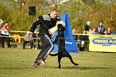 Othello vom Lindelbrunn