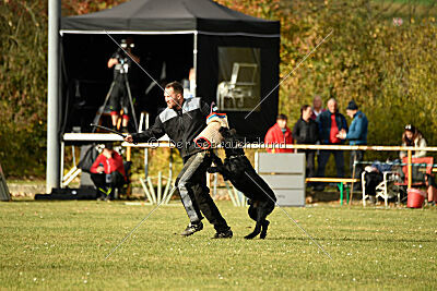 Othello vom Lindelbrunn