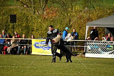 Othello vom Lindelbrunn