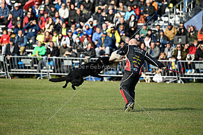 Panther z Berounské basty