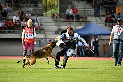 Parendo Vinces Captain Koons
