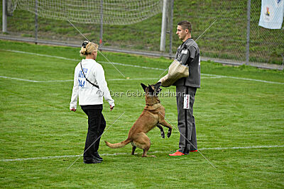 Pearl vom Kistenstein