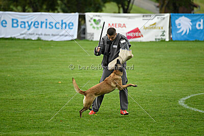 Pearl vom Kistenstein