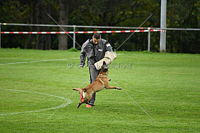 Pearl vom Kistenstein