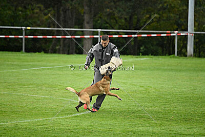 Pearl vom Kistenstein