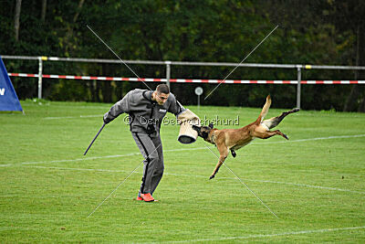 Pearl vom Kistenstein