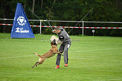 Pearl vom Kistenstein