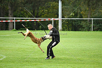 Pearl vom Kistenstein