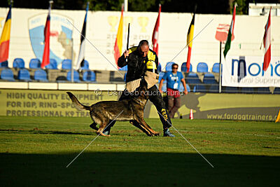Pele Sabag K9