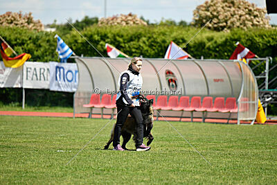 Perfect Rocket de la Rouquine