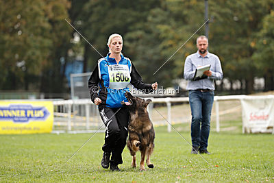Perro von der schwarzen Natter