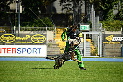 Pesi vom Mochauer Land