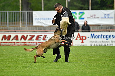 Piet (Reiter)