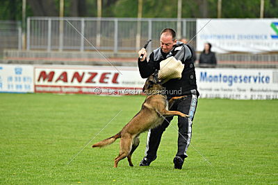 Piet (Reiter)